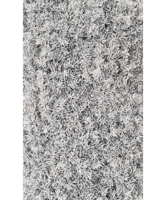 Kunstlik SAMMAL 50 25