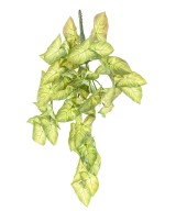 Artificial SYNGONIUM HANGING BUSH