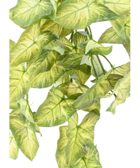 Artificial SYNGONIUM HANGING BUSH