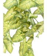 Artificial SYNGONIUM HANGING BUSH