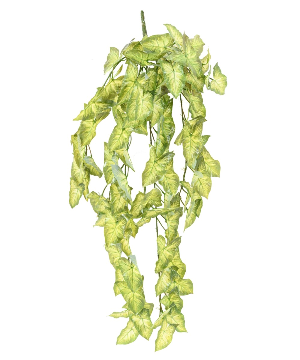 Kunstlik ripppõõsas (SYNGONIUM)