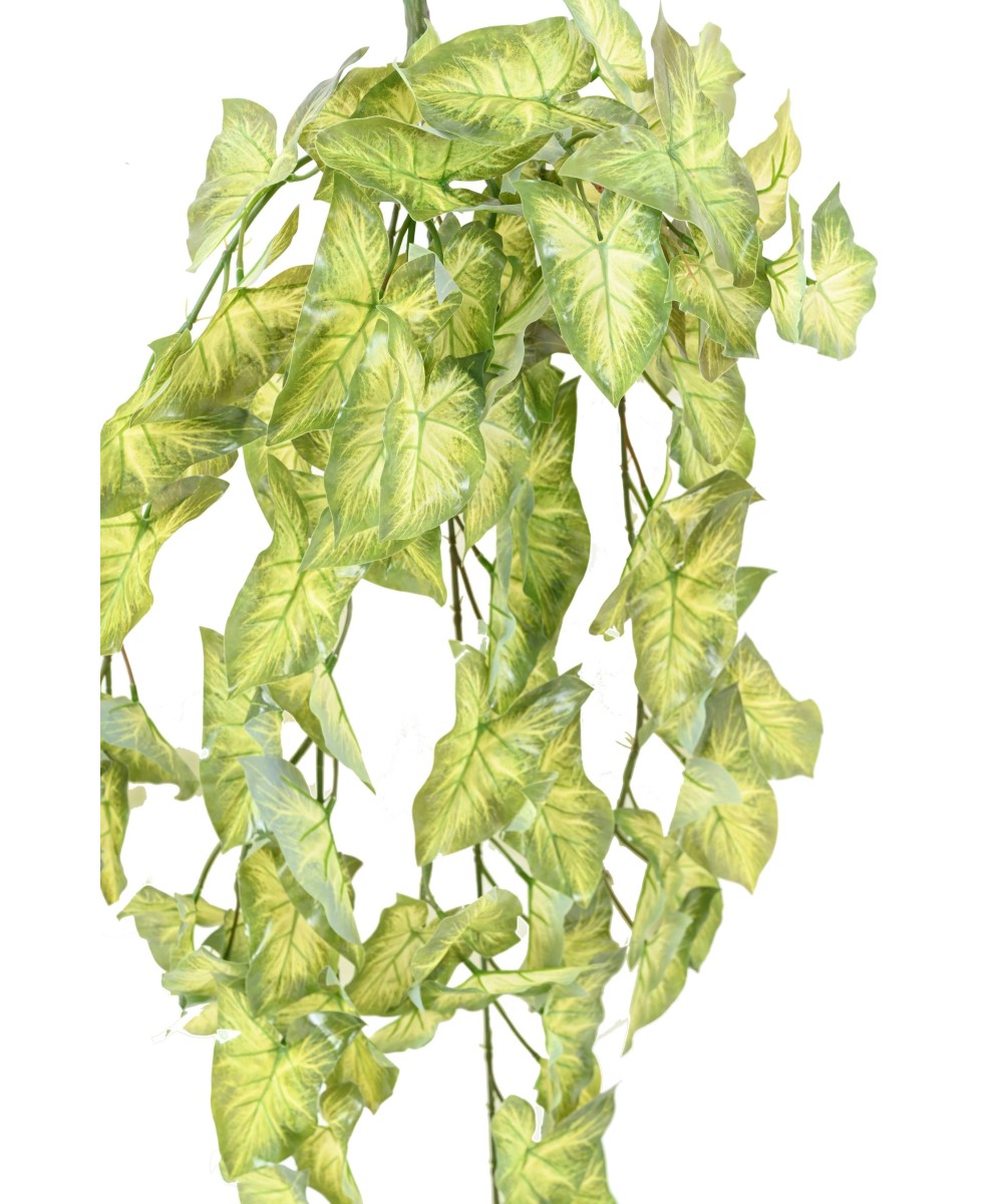 Kunstlik ripppõõsas (SYNGONIUM)