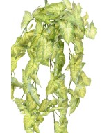 Kunstlik ripppõõsas (SYNGONIUM)