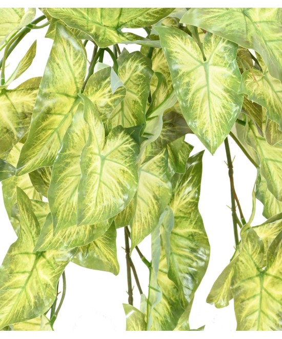 Kunstlik ripppõõsas (SYNGONIUM)