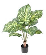 Kunstlill APHELANDRA SUUR pott 70