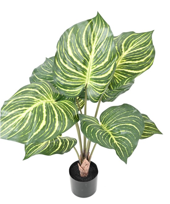 Kunstlill APHELANDRA SUUR pott 70
