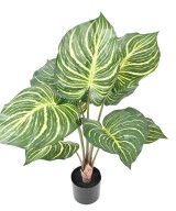 Kunstlill APHELANDRA SUUR pott 70