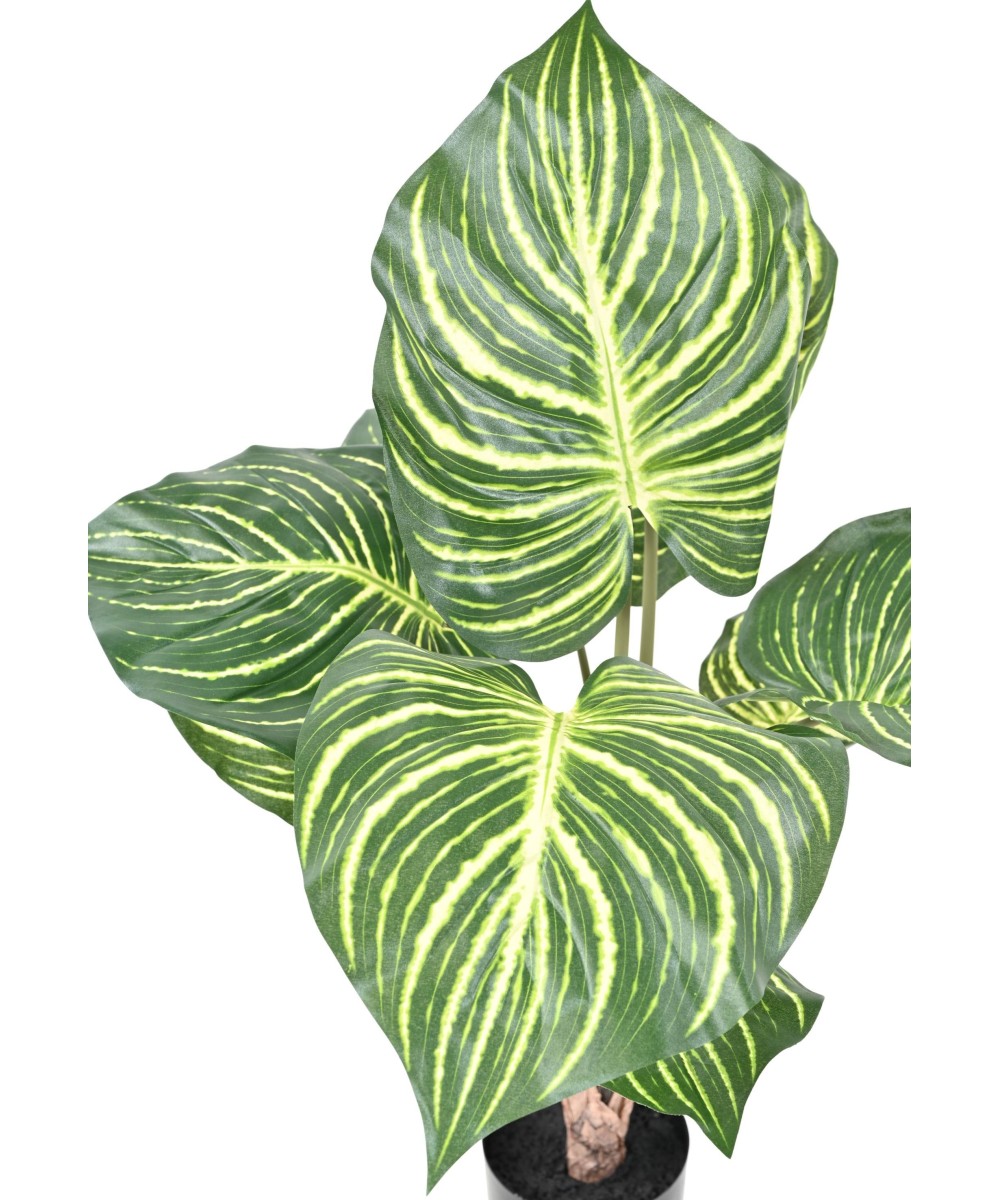 Kunstlill APHELANDRA SUUR pott 70