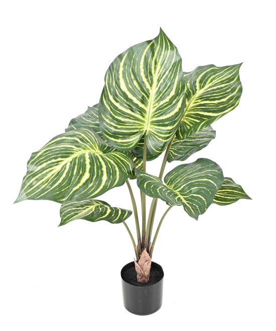 Kunstlill APHELANDRA SUUR pott 70