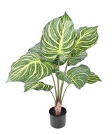 Kunstlill APHELANDRA SUUR pott 70