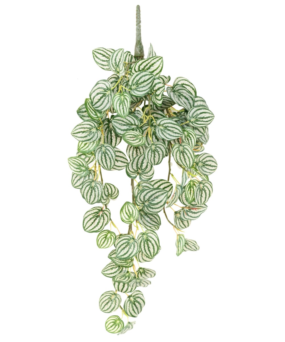 Kunstlik PEPEROMIA RIPPUVÕÕSAS 70