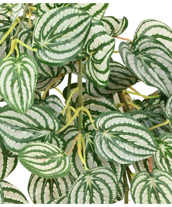 Kunstlik PEPEROMIA RIPPUVÕÕSAS 70