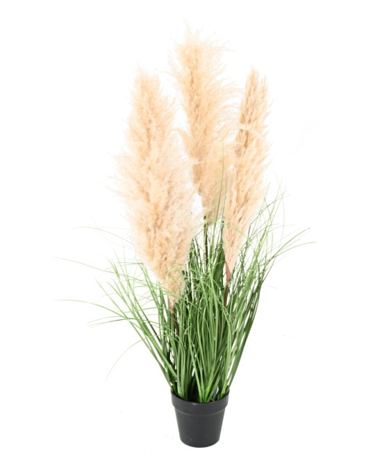 Kunstlik CAREX