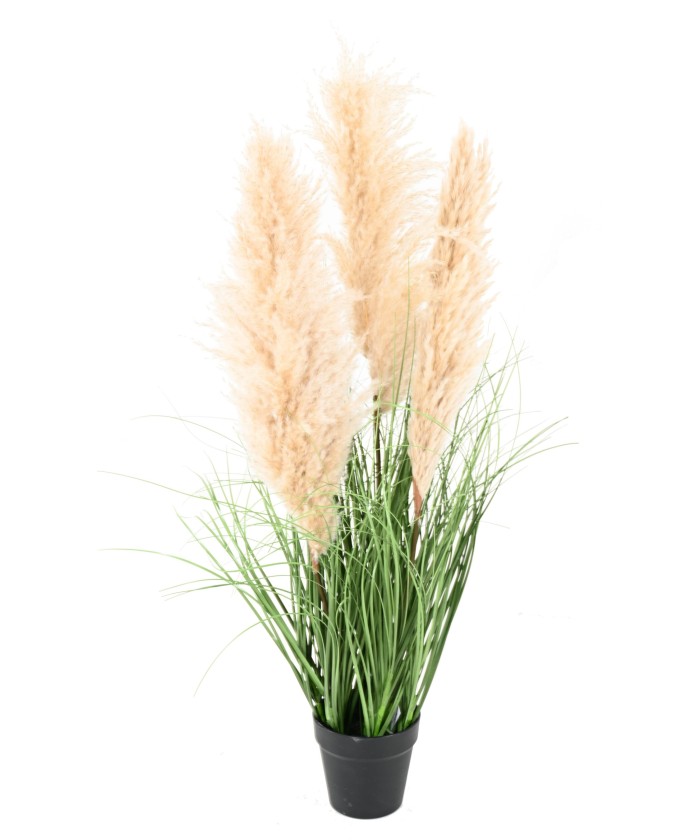 Kunstlik CAREX