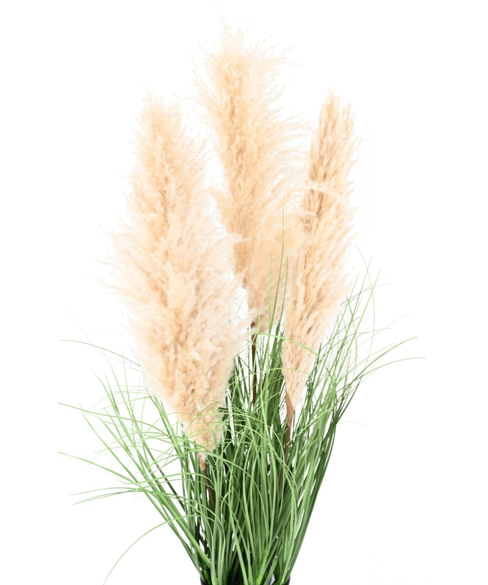 Kunstlik CAREX