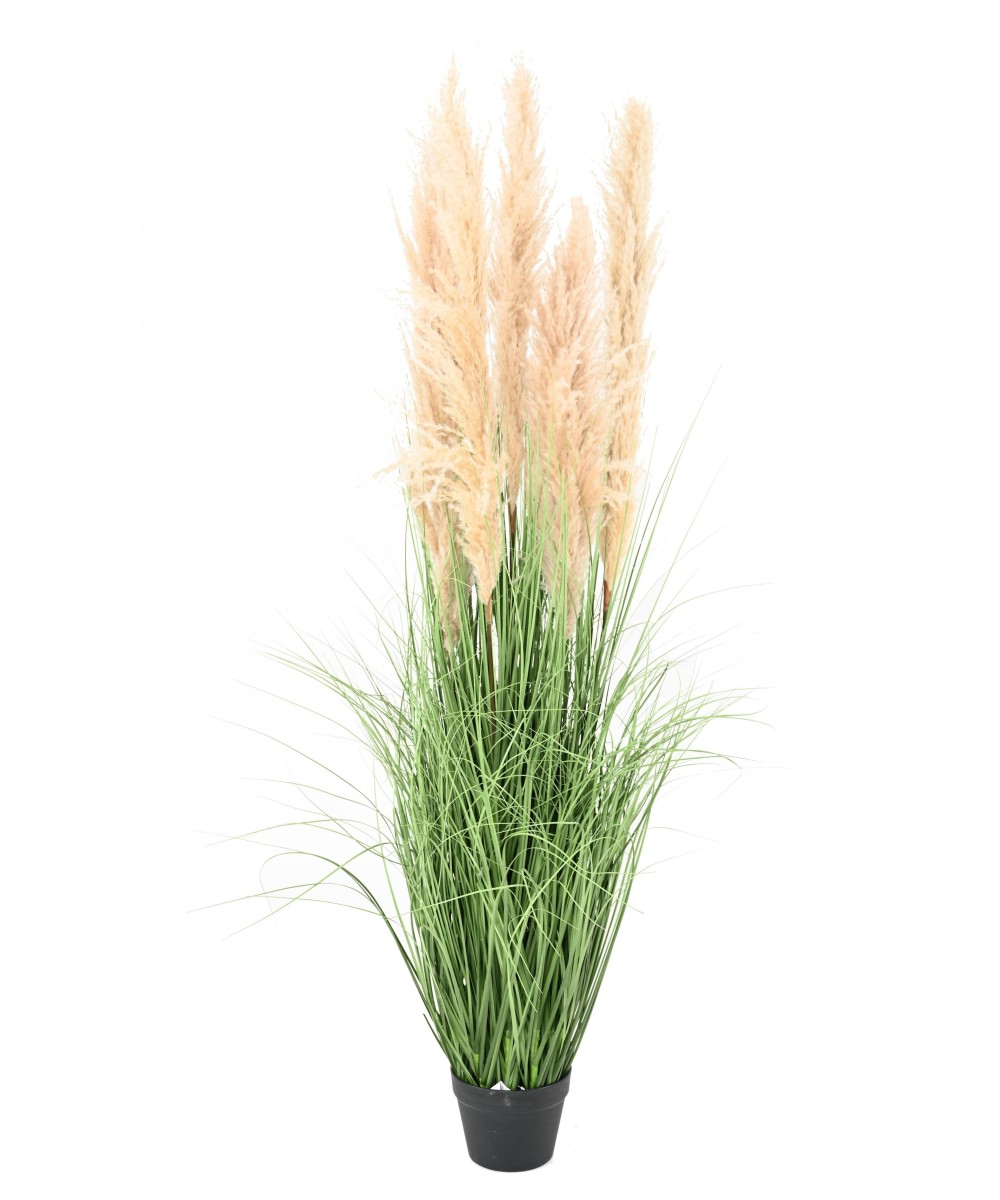 Artificial CAREX