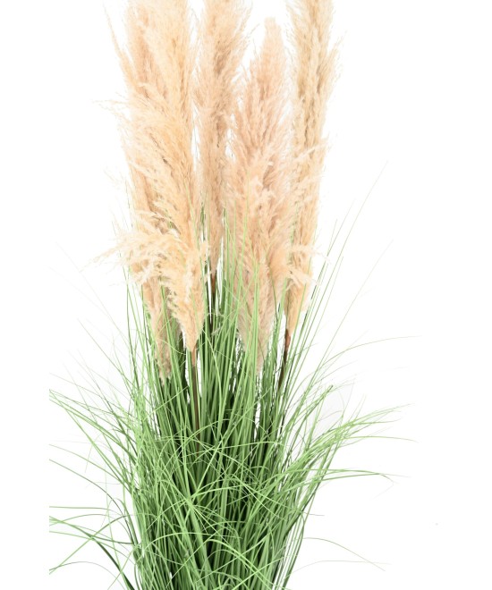 Artificial CAREX