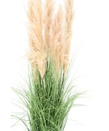Artificial CAREX