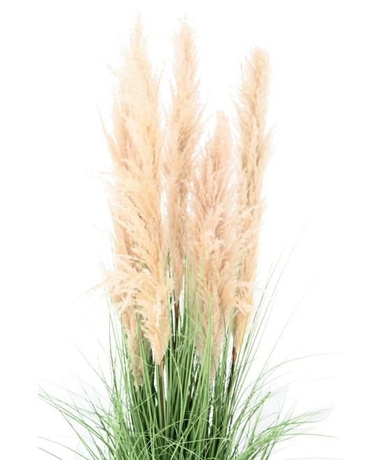 Artificial CAREX