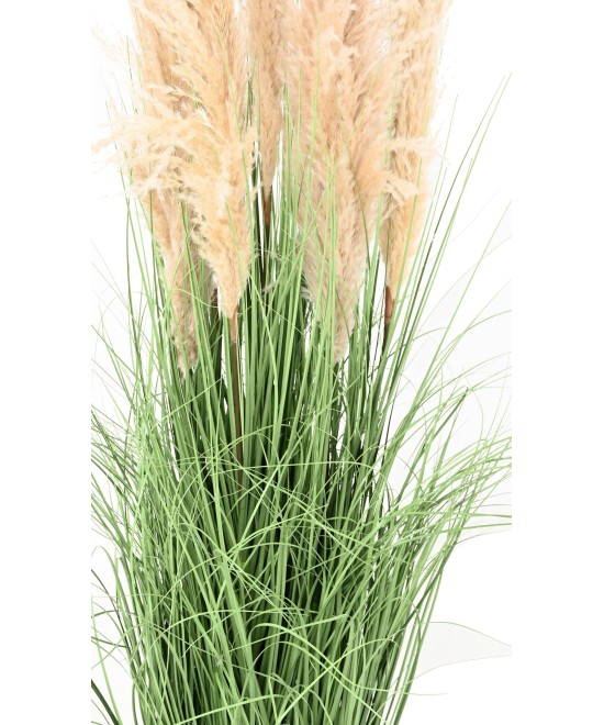 Artificial CAREX