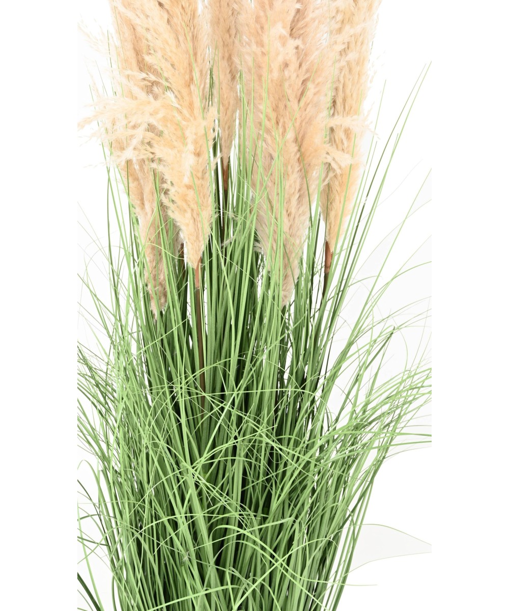 Artificial CAREX