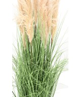 Artificial CAREX