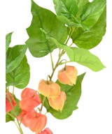 Artificial PHYSALIS