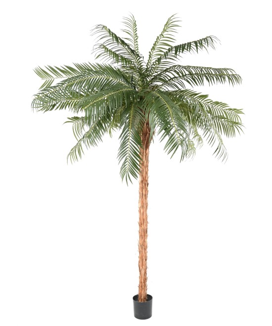 Kunst-datlipalm 3,40 MT