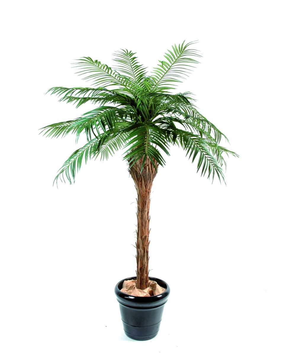Kunst-datlipalm 3,40 MT