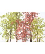 Artificial ARALIA PE UV