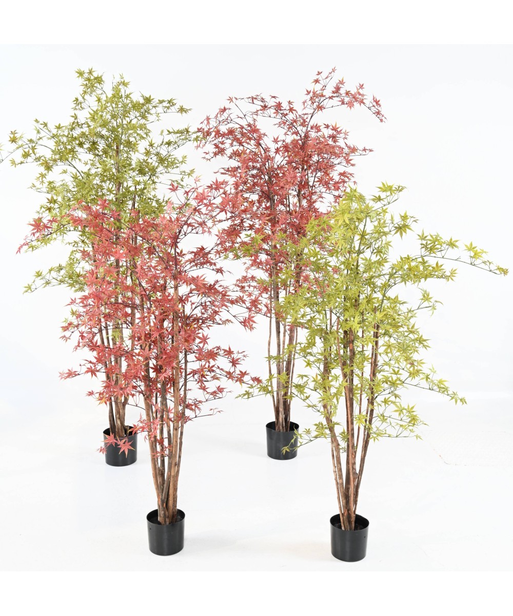 Artificial ARALIA PE UV