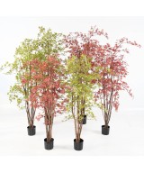 Artificial ARALIA PE UV