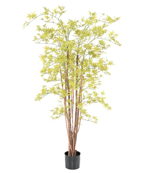Kunstar aalia PE UV