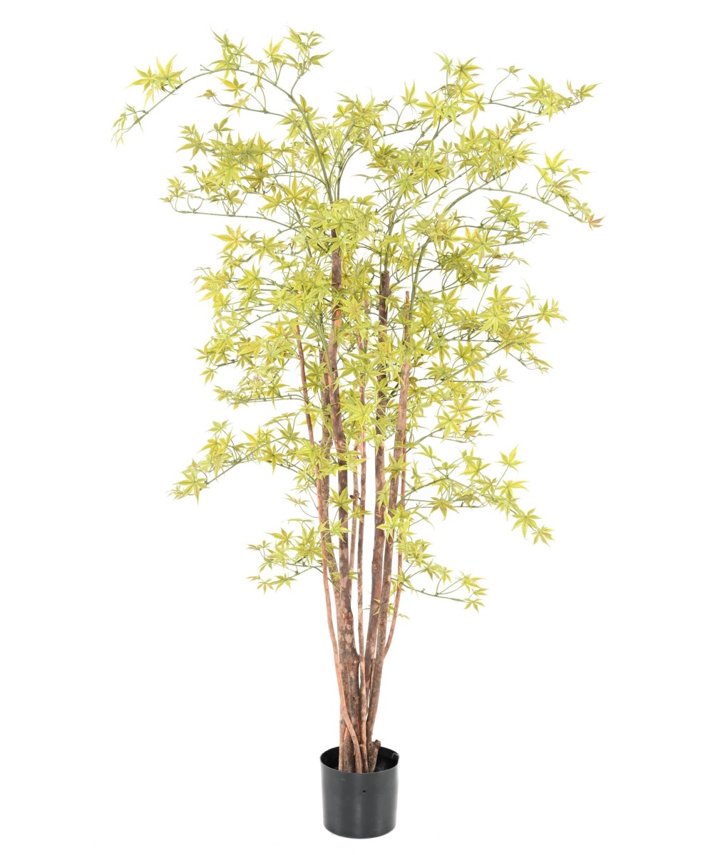 Kunstar aalia PE UV