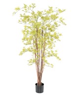Kunstar aalia PE UV