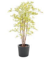 Kunstar aalia PE UV