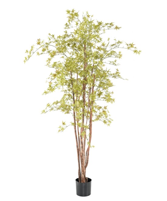 Kunstar aalia PE UV