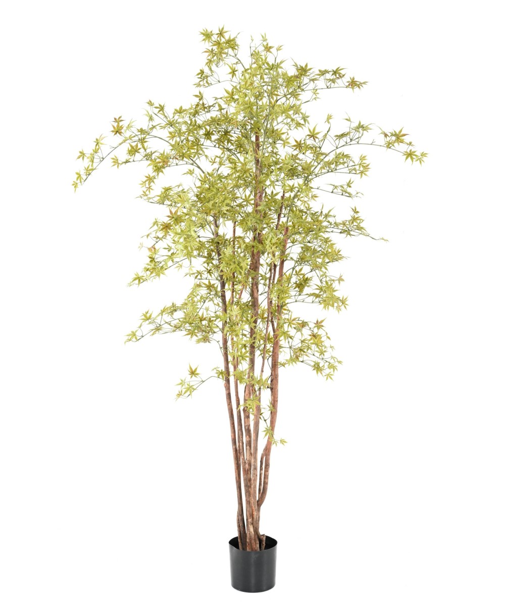 Kunstar aalia PE UV