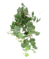 Artificial VINE HANGING BUSH PLAST UV RESISTANT