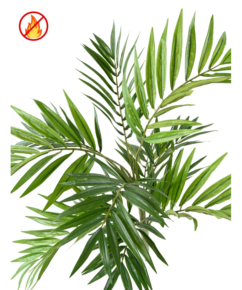 CHAMAEDOREA *196 FR - Tulekindel tehislill