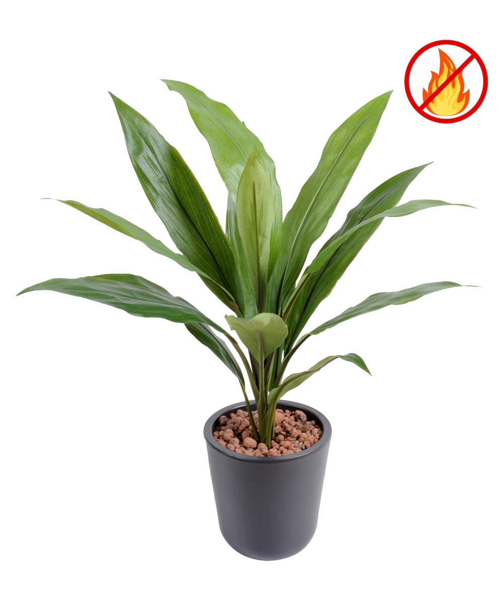 Artificial DRACAENA CORDYLINE FR - Fire Resistant