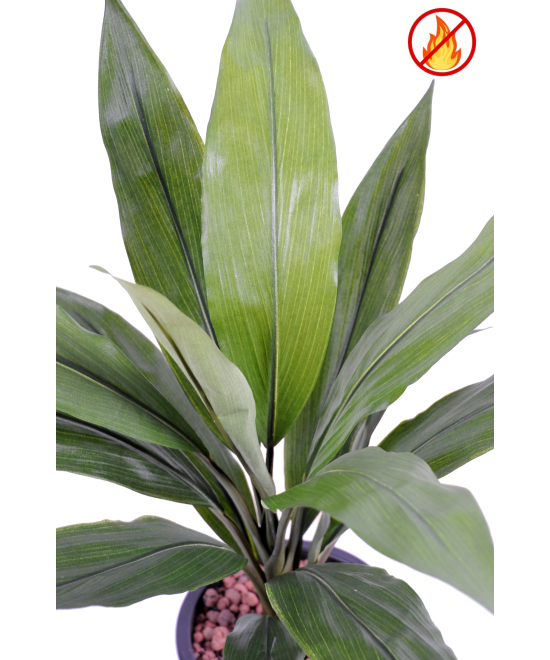Artificial DRACAENA CORDYLINE FR - Fire Resistant
