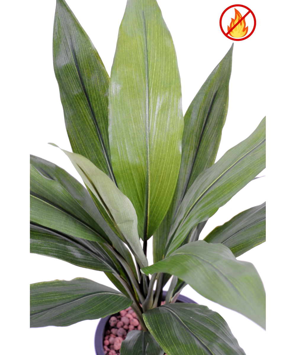 Artificial DRACAENA CORDYLINE FR - Fire Resistant