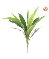 Artificial DRACAENA CORDYLINE FR - Fire Resistant