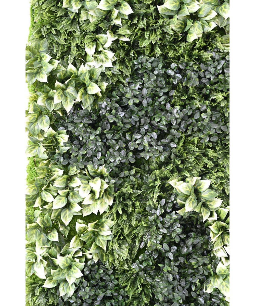 Kunstlik BERBERIS ROHELINE SEIN