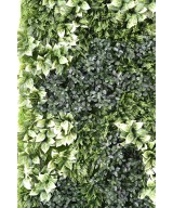 Kunstlik BERBERIS ROHELINE SEIN
