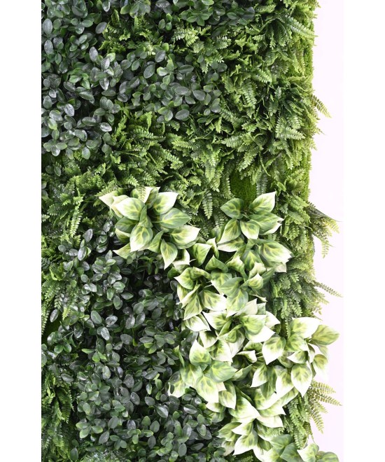 Kunstlik BERBERIS ROHELINE SEIN