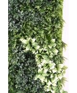 Kunstlik BERBERIS ROHELINE SEIN