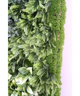 Kunstlik BERBERIS ROHELINE SEIN