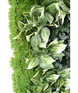 Kunstlik BERBERIS ROHELINE SEIN